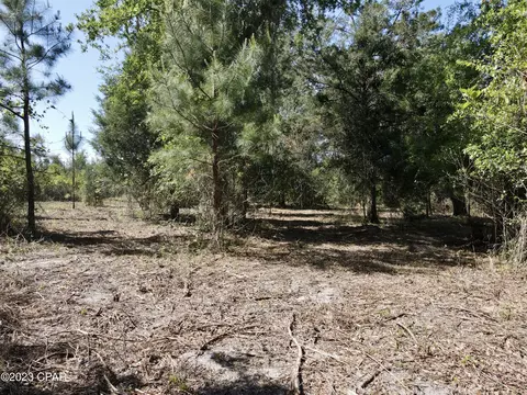 00 Autumn Rd, Malone, FL 32445 photo 30