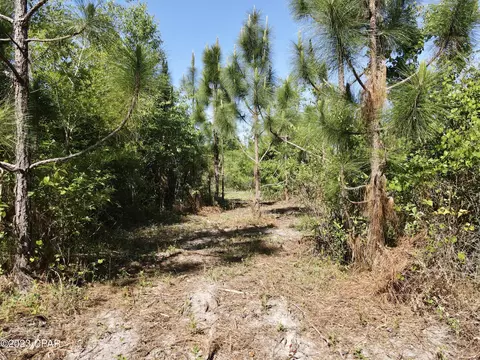 00 Autumn Rd, Malone, FL 32445 photo 17