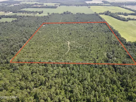 00 Autumn Rd, Malone, FL 32445 photo 2