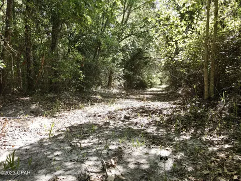 00 Autumn Rd, Malone, FL 32445 photo 33