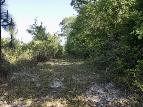 00 Autumn Rd, Malone, FL 32445 photo 16