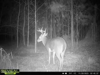 00 Autumn Rd, Malone, FL 32445 photo 5