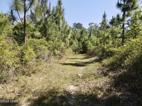 00 Autumn Rd, Malone, FL 32445 photo 25