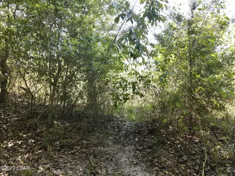 00 Autumn Rd, Malone, FL 32445 photo 28