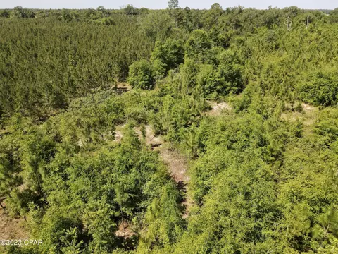 00 Autumn Rd, Malone, FL 32445 photo 39
