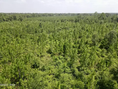 00 Autumn Rd, Malone, FL 32445 photo 49