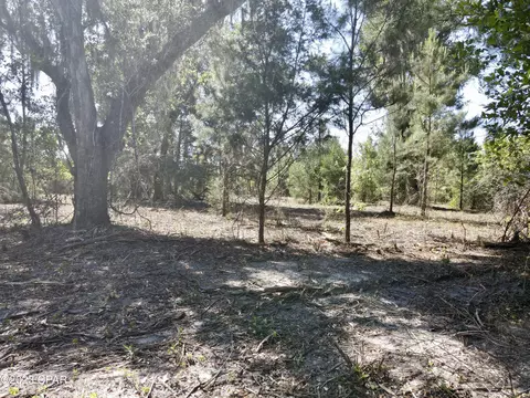 00 Autumn Rd, Malone, FL 32445 photo 31