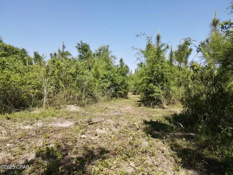 00 Autumn Rd, Malone, FL 32445 photo 18