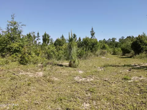 00 Autumn Rd, Malone, FL 32445 photo 23