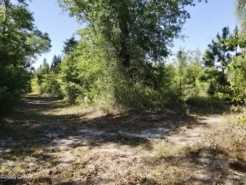 00 Autumn Rd, Malone, FL 32445 photo 8