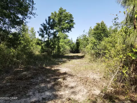 00 Autumn Rd, Malone, FL 32445 photo 15