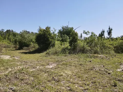 00 Autumn Rd, Malone, FL 32445 photo 24