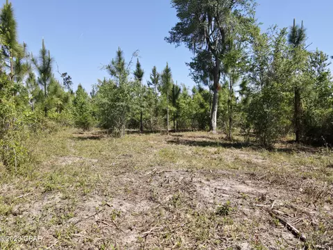 00 Autumn Rd, Malone, FL 32445 photo 38