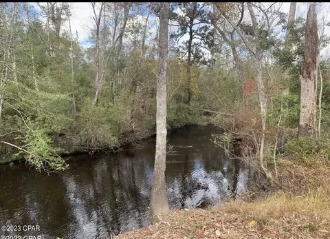 Nn Pippin Cemetery Road, Clarksville, FL 32430