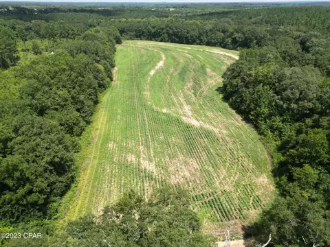 0000 Mcdonald Rd, Bonifay, FL 32425