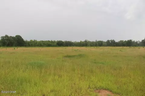 0 Galloway Rd #PARCEL 6&7, Graceville, FL 32440