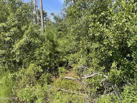 lot S 2324 Nandina St, Fountain, FL 32438