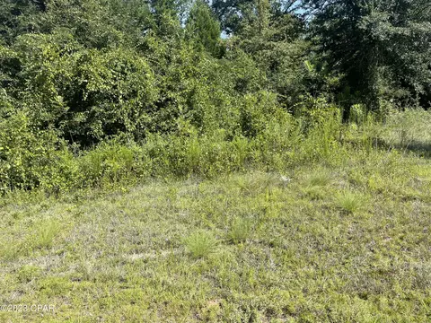 12239 N Bear Creek Rd, Fountain, FL 32438