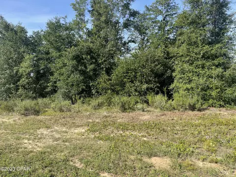 lot203 Fairview Rd, Alford, FL 32420