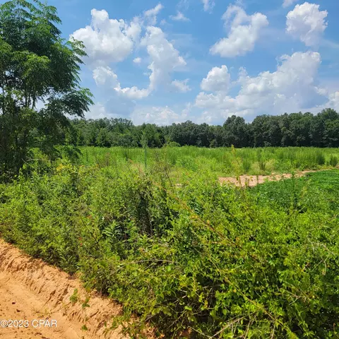 0 Overpass Rd, Campbellton, FL 32426