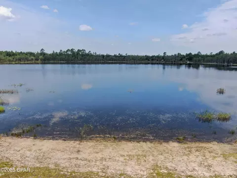 22388 NW Cody Ln, Altha, FL 32421 photo 11