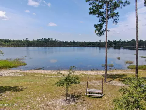 22388 NW Cody Ln, Altha, FL 32421 photo 10