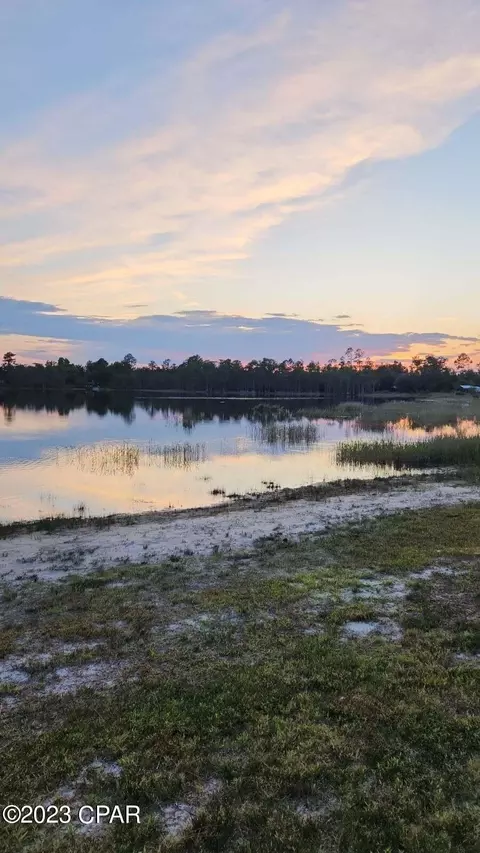 22388 NW Cody Ln, Altha, FL 32421 photo 2