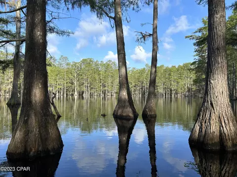 0 Bollinger Rd, Vernon, FL 32462 photo 29