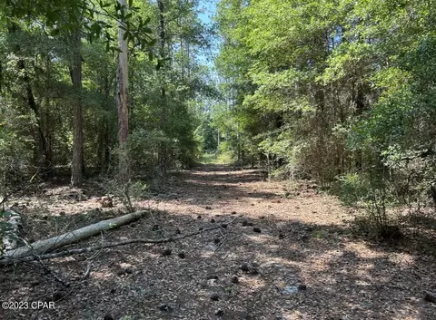 0 Bollinger Rd, Vernon, FL 32462 photo 19