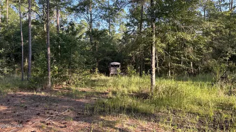 0 Bollinger Rd, Vernon, FL 32462 photo 23