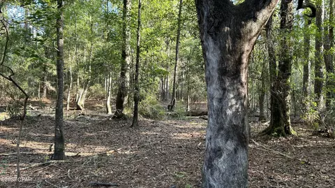0 Bollinger Rd, Vernon, FL 32462 photo 28