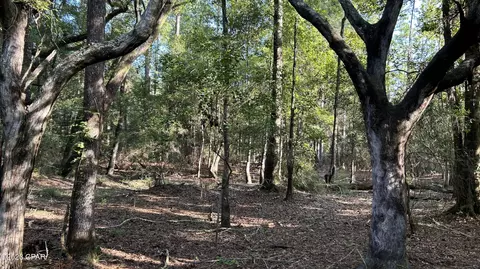 0 Bollinger Rd, Vernon, FL 32462 photo 27