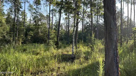 0 Bollinger Rd, Vernon, FL 32462 photo 22