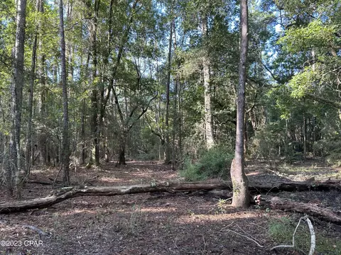 0 Bollinger Rd, Vernon, FL 32462 photo 15