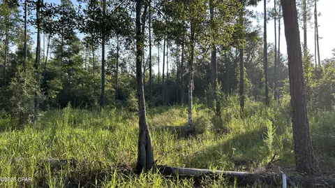 0 Bollinger Rd, Vernon, FL 32462 photo 24
