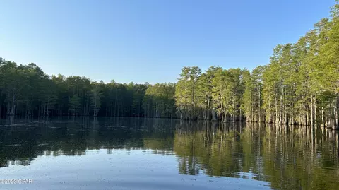 0 Bollinger Rd, Vernon, FL 32462 photo 5