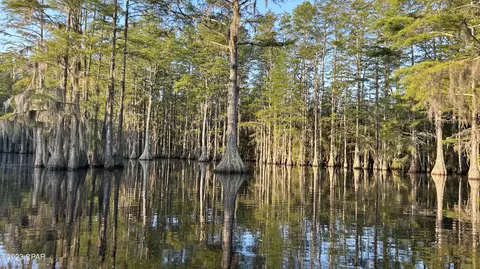 0 Bollinger Rd, Vernon, FL 32462 photo 8