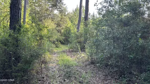 0 Bollinger Rd, Vernon, FL 32462 photo 20