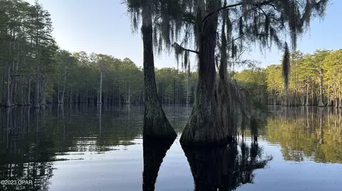 0 Bollinger Rd, Vernon, FL 32462 photo 33