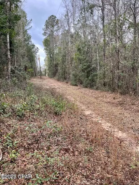 lot14 Bear Hewett Landing Rd, Bonifay, FL 32425