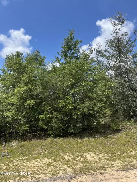lot54 Cavalier Dr, Chipley, FL 32428