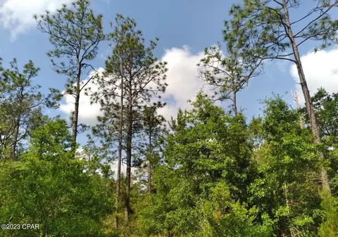 3358 Fawn Pl, Chipley, FL 32428