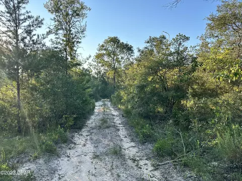 lot10 Pine Log Rd, Chipley, FL 32428 photo 2