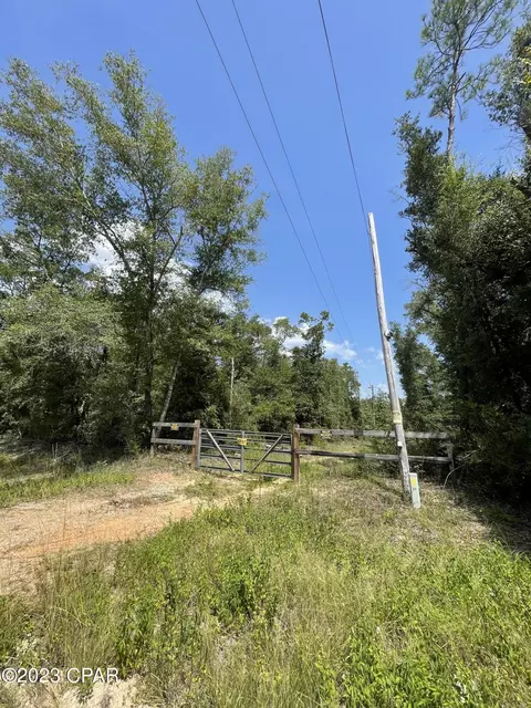24481 NW Tyler Ln, Altha, FL 32421