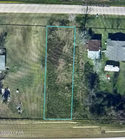15701 NW J J Young Rd, Altha, FL 32421