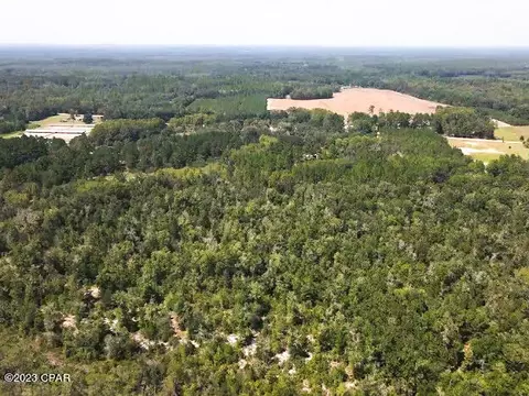 120 Acres Simmons Ln, Ponce De Leon, FL 32455