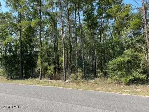 00 Pine Ridge Dr, Chipley, FL 32428 photo 4