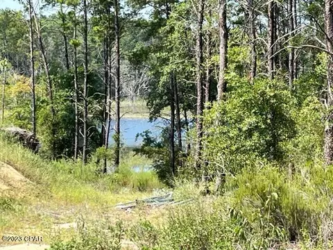 00 Pine Ridge Dr, Chipley, FL 32428 photo 3