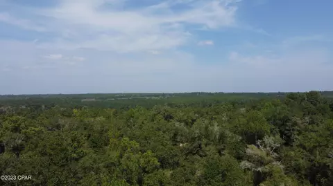 390 Finuff Rd, Chattahoochee, FL 32324