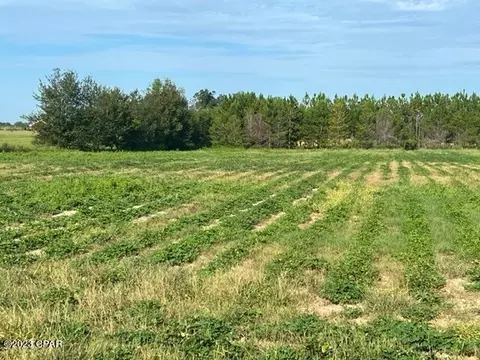 00 Flat Rd, Greenwood, FL 32443
